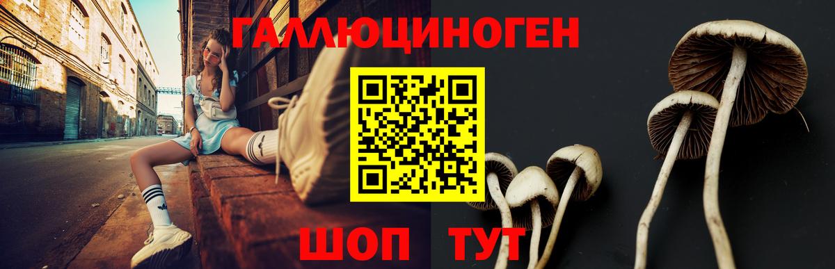 Псилоцибиновые грибы MAGIC MUSHROOMS  Вход с VPN  Ялта 